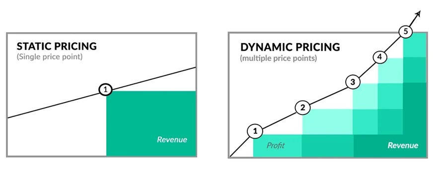 Dynamic Pricing: Flexibility and Adaptation